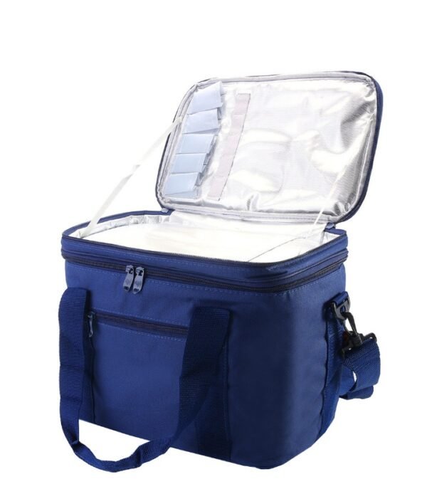 Lunch Box Bag for Office – Portable Insulated Lunch Handbag
