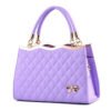 1620873850938.jpg Stylish Ladies Handbag for Everyday Elegance