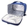 Lunch Box Bag for Office – Portable Insulated Lunch Handbag