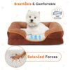Memory Foam Pet Bed – Washable Orthopedic Dog & Cat Bed