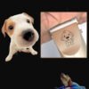 Pet Grooming Clippers – Rechargeable Dog & Cat Hair Trimmer