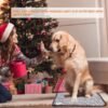 Waterproof Pet Heating Pad for Dogs & Cats